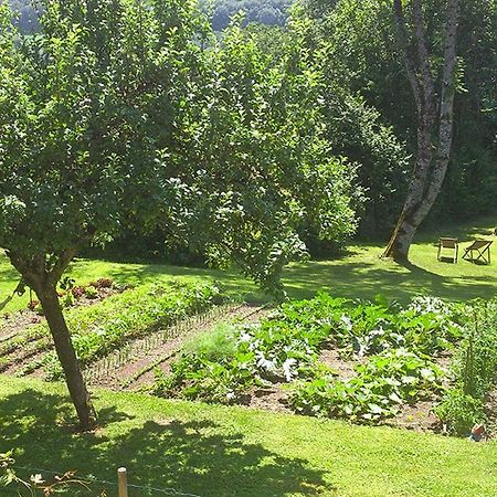 L'Ourserie Bed & Breakfast Saint-Paul-en-Chablais Buitenkant foto