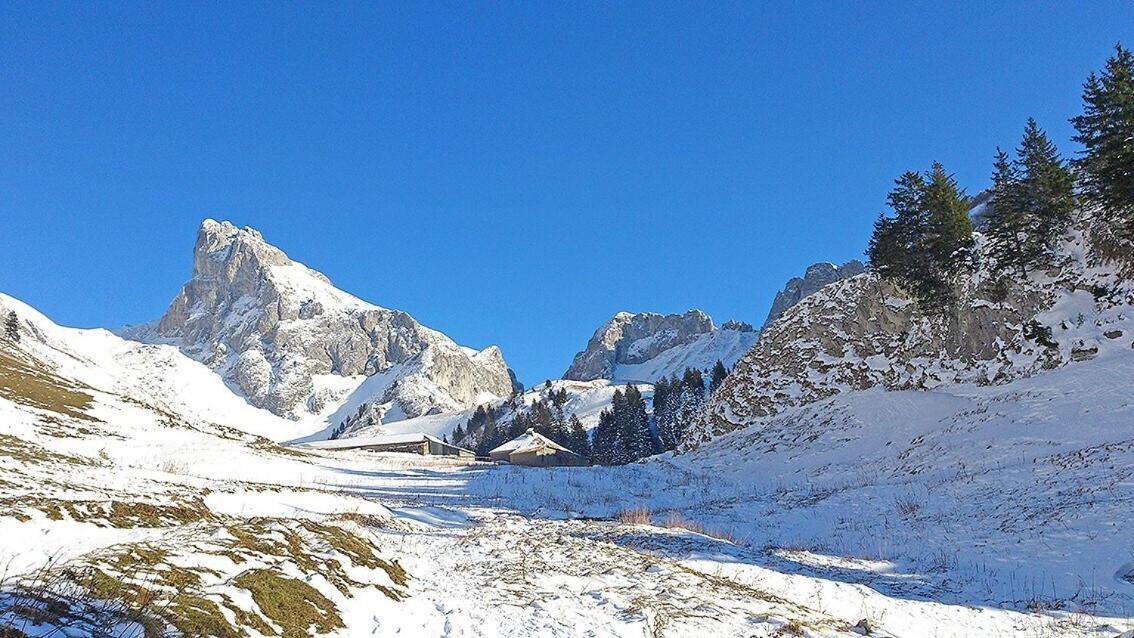 L'Ourserie Bed & Breakfast Saint-Paul-en-Chablais Kamer foto