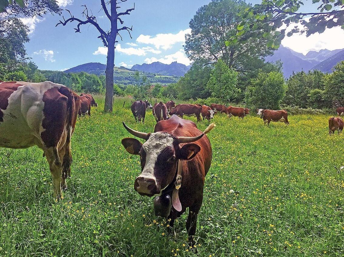 L'Ourserie Bed & Breakfast Saint-Paul-en-Chablais Kamer foto